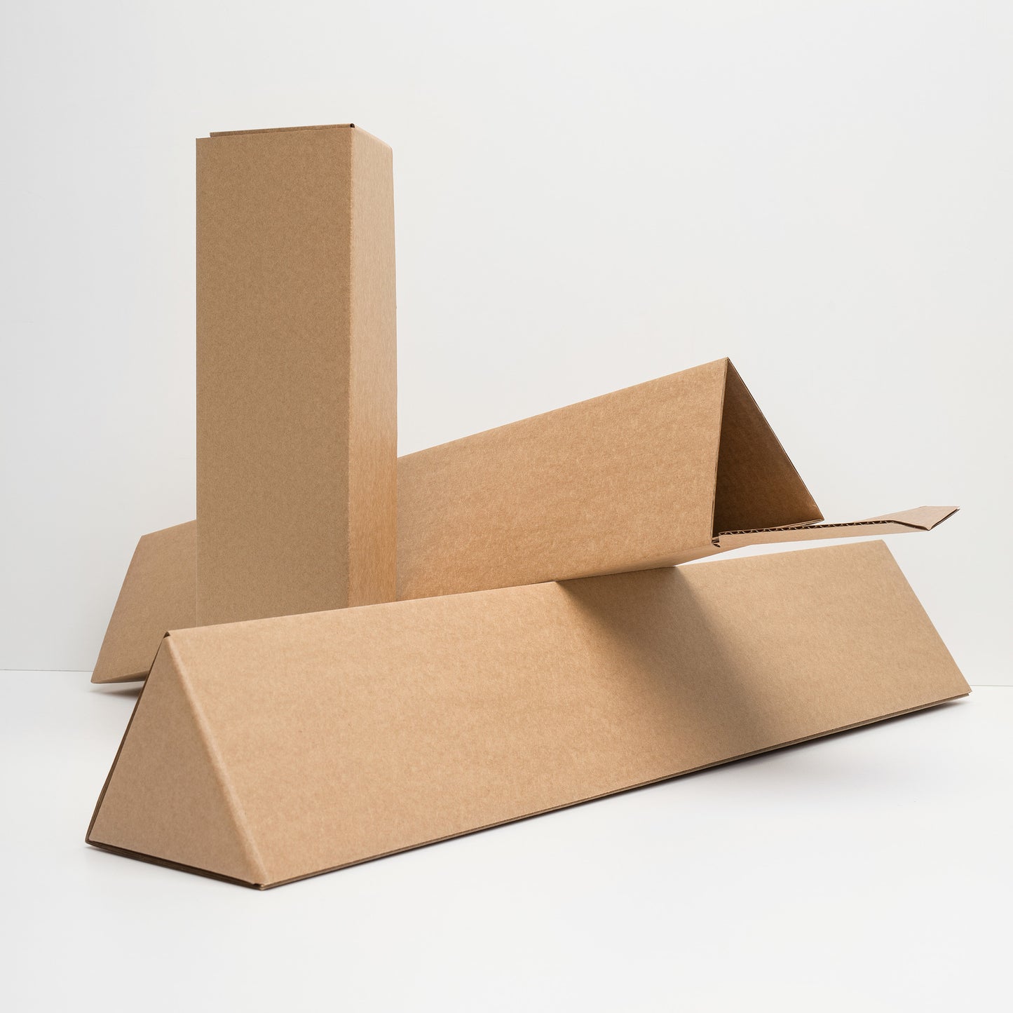 Fyerfly poster packaging